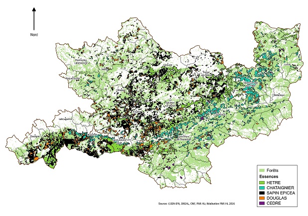 carte Essences parc 3