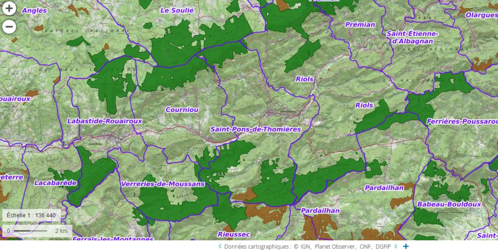 forets chemins randonnées routes