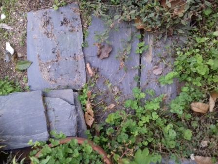 lauzes bleus prouilhes