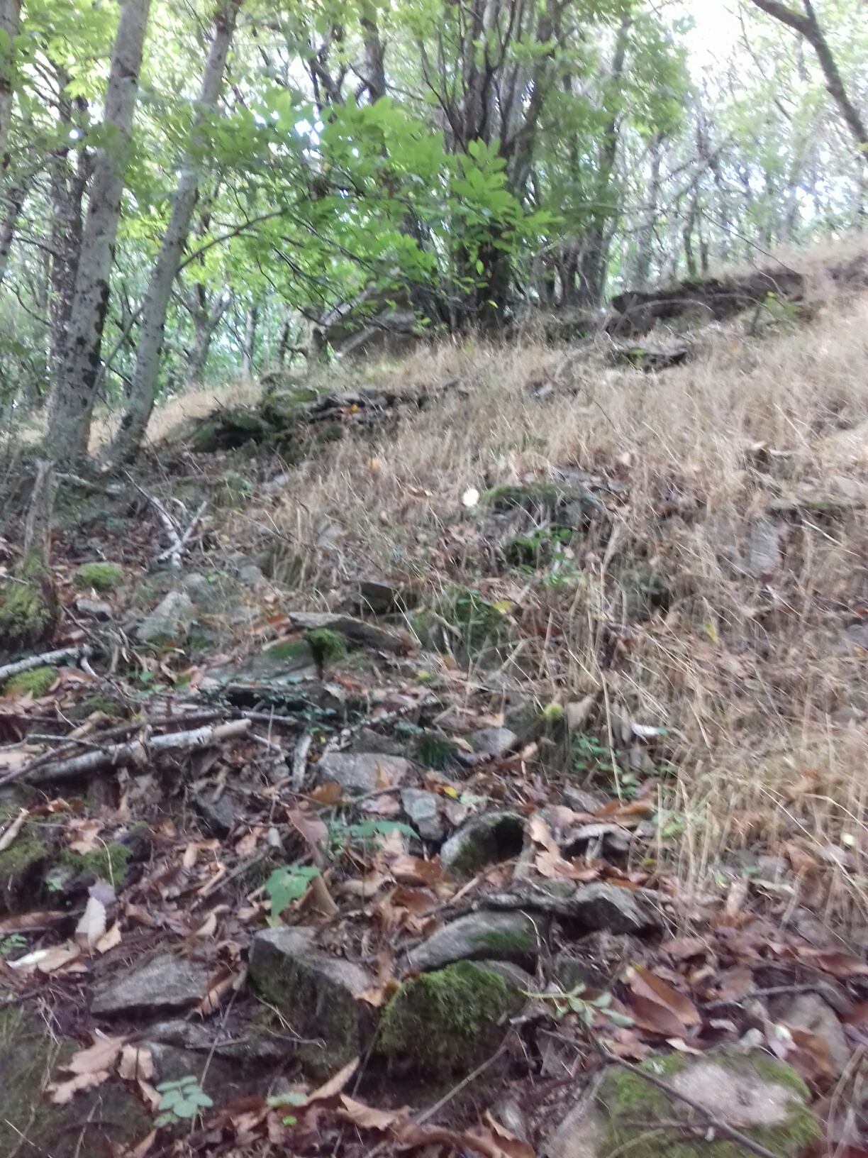 rebuts carriere bouteille