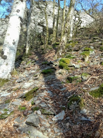 st bauzille rochers taille 2021 c